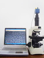 �ʑ���������